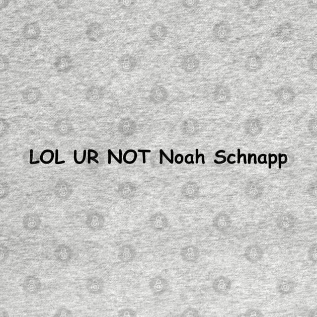 Lol Ur Not Noah Schnapp by SuMrl1996